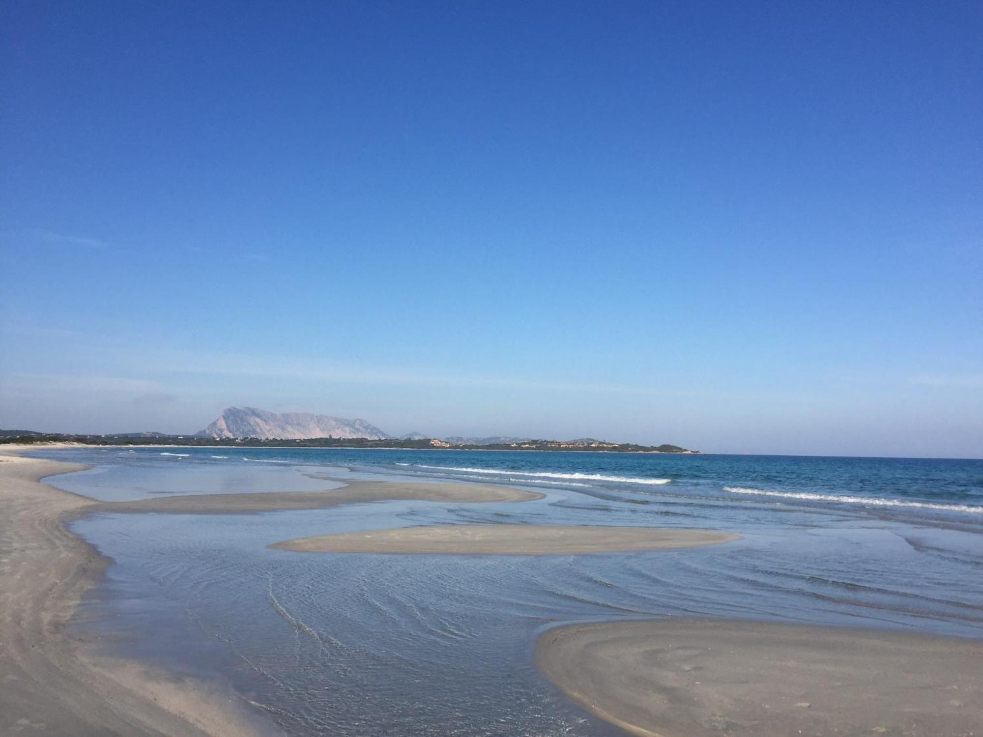 Hotel Al Faro Spiaggia La Cinta Santeodoro سان تيودورو المظهر الخارجي الصورة